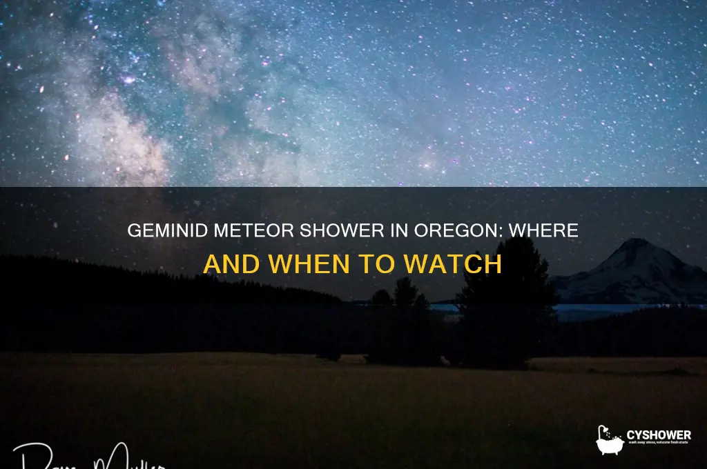 can you see the geminid meteor shower in oregon