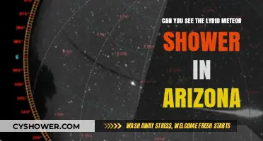 Arizona's Night Sky: Spotting the Lyrid Meteor Shower in 2023