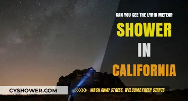 Lyrid Meteor Shower Visibility in California: A Night Sky Guide