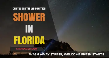 Lyrid Meteor Shower Visibility in Florida: A Night Sky Guide