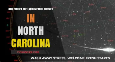 Lyrid Meteor Shower Visibility in North Carolina: A Skywatcher's Guide