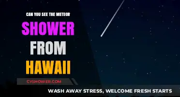 Hawaii's Night Sky: Viewing the Meteor Shower from the Islands