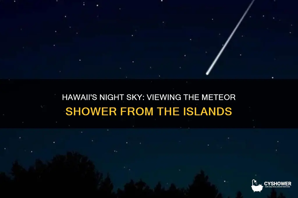 can you see the meteor shower from hawaii