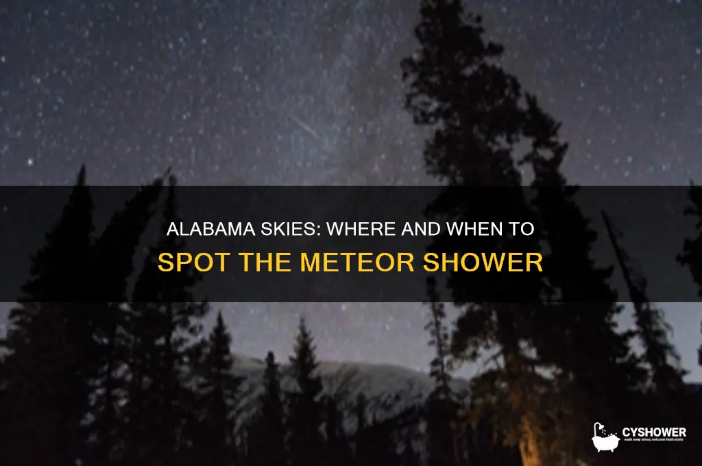 can you see the meteor shower in alabama