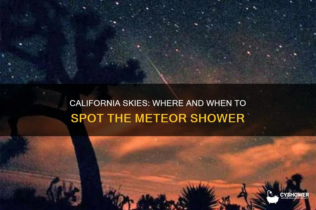 can you see the meteor shower in california