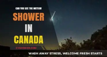 Canada's Night Sky: Spotting the Meteor Shower in the Great White North