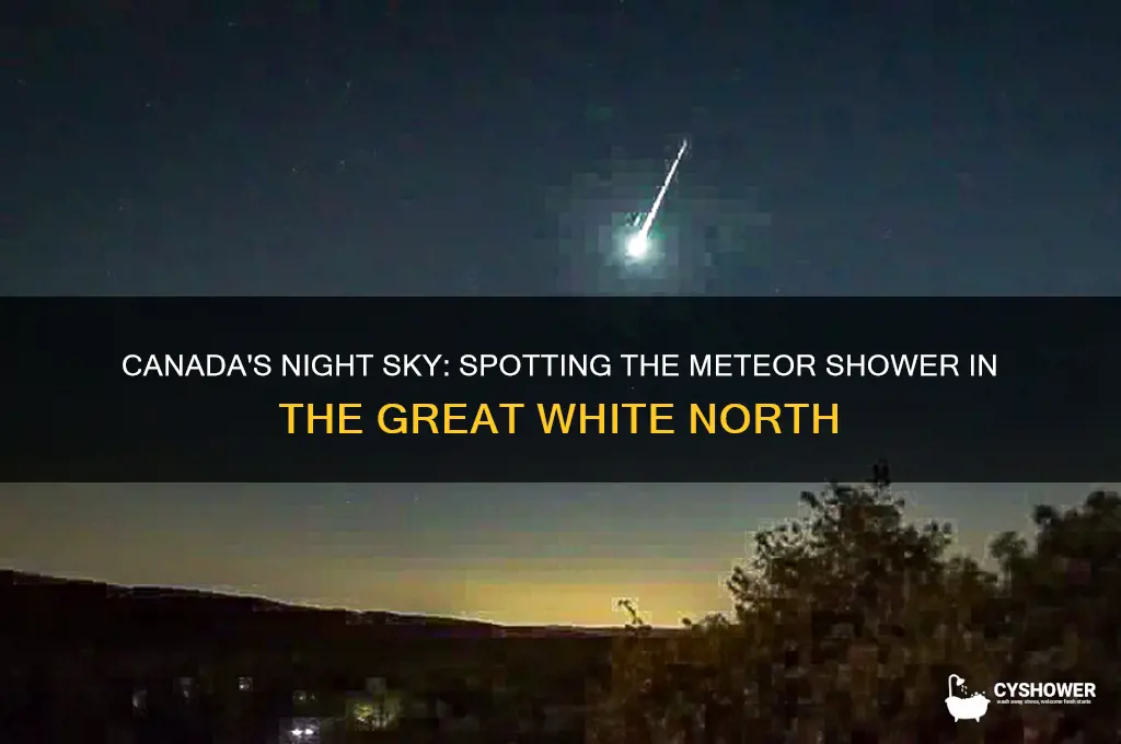 can you see the meteor shower in canada