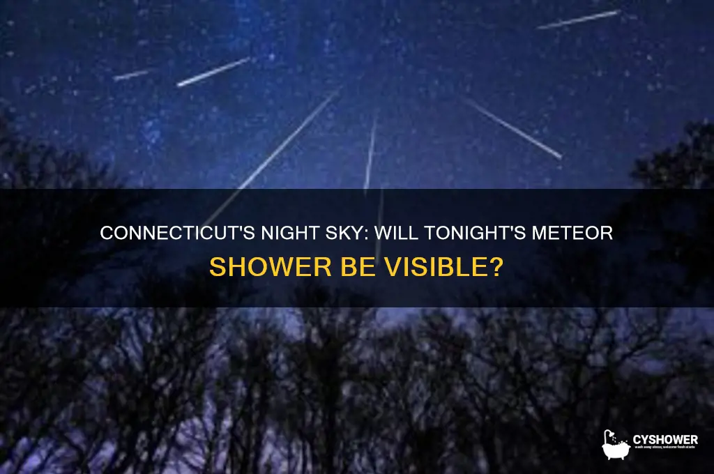 can you see the meteor shower in connecticut tonight