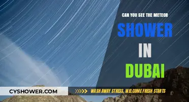 Dubai's Night Sky: Spotting the Meteor Shower in the City