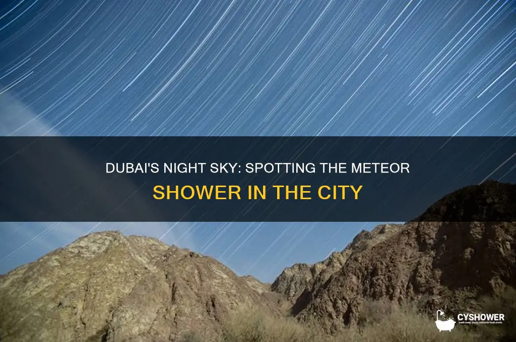 can you see the meteor shower in dubai