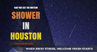 Houston's Night Sky: Spotting the Meteor Shower Amid City Lights