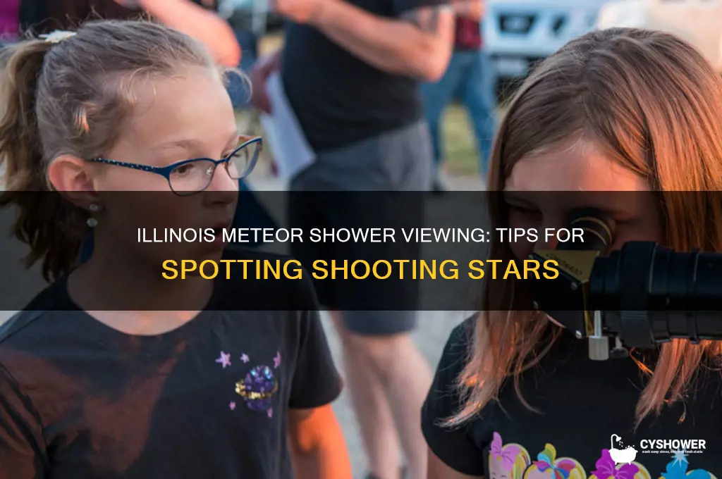 can you see the meteor shower in illinois