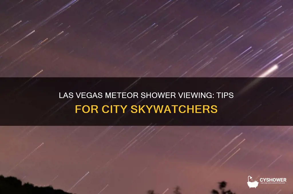 can you see the meteor shower in las vegas