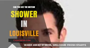 Louisville's Night Sky: Spotting the Meteor Shower in the City
