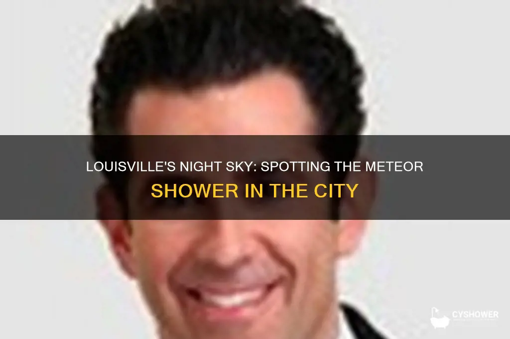 can you see the meteor shower in louisville