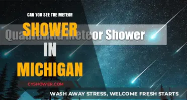 Michigan's Meteor Shower Visibility: Tips for Stargazing Success