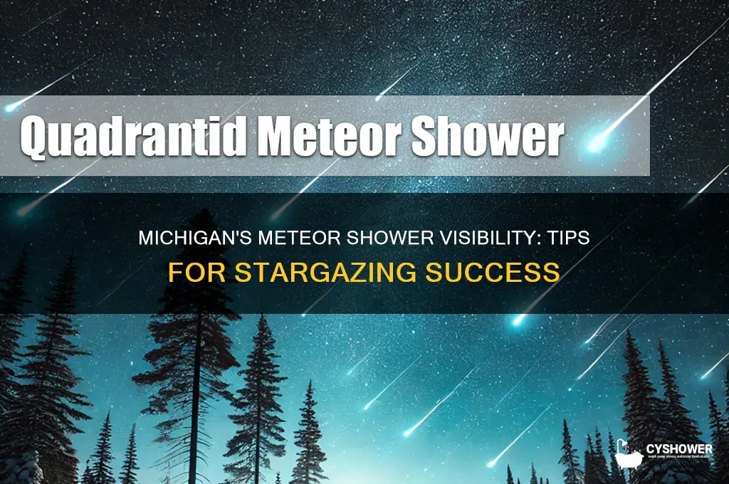 can you see the meteor shower in michigan