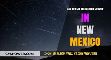 New Mexico's Night Sky: Spotting the Meteor Shower in 2023