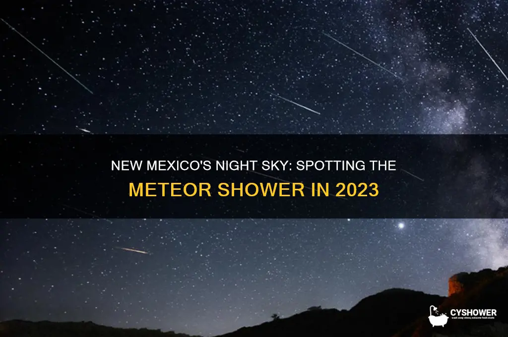 can you see the meteor shower in new mexico