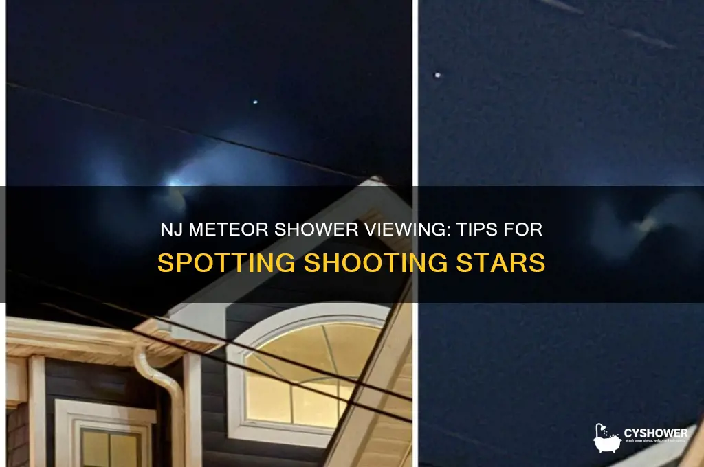 can you see the meteor shower in nj