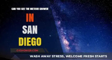 San Diego's Night Sky: Spotting the Meteor Shower in the City