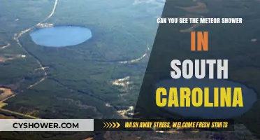 South Carolina Skies: Viewing the Meteor Shower in the Palmetto State