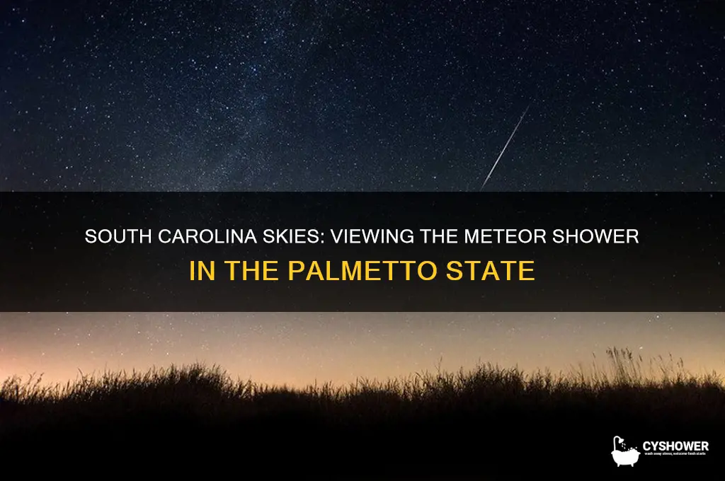 can you see the meteor shower in south carolina
