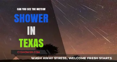 Texas Skies: Spotting the Meteor Shower in the Lone Star State