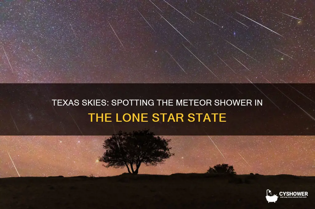 can you see the meteor shower in texas