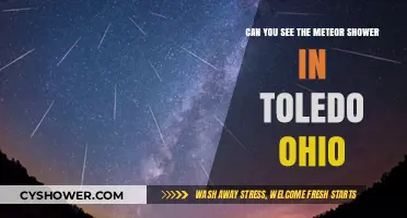 Toledo's Night Sky: Spotting the Meteor Shower in Ohio