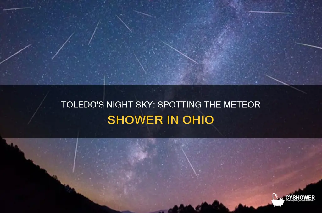can you see the meteor shower in toledo ohio