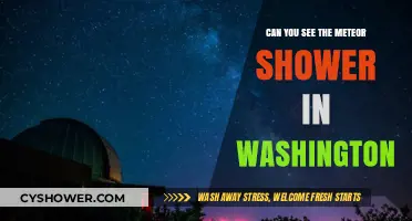 Washington's Night Sky: How to Spot the Meteor Shower This Year