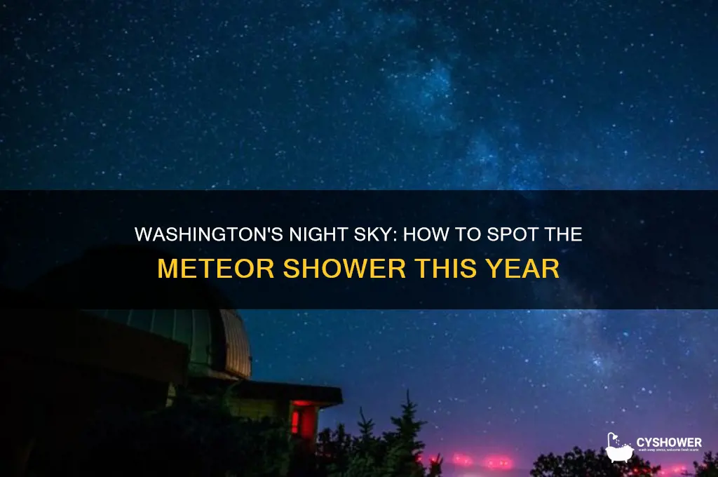 can you see the meteor shower in washington