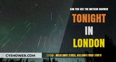 London's Night Sky: Meteor Shower Visibility Tonight - What to Expect