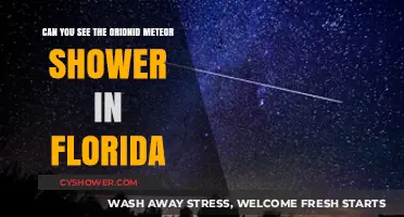 Florida Skies: Spotting the Orionid Meteor Shower This Season