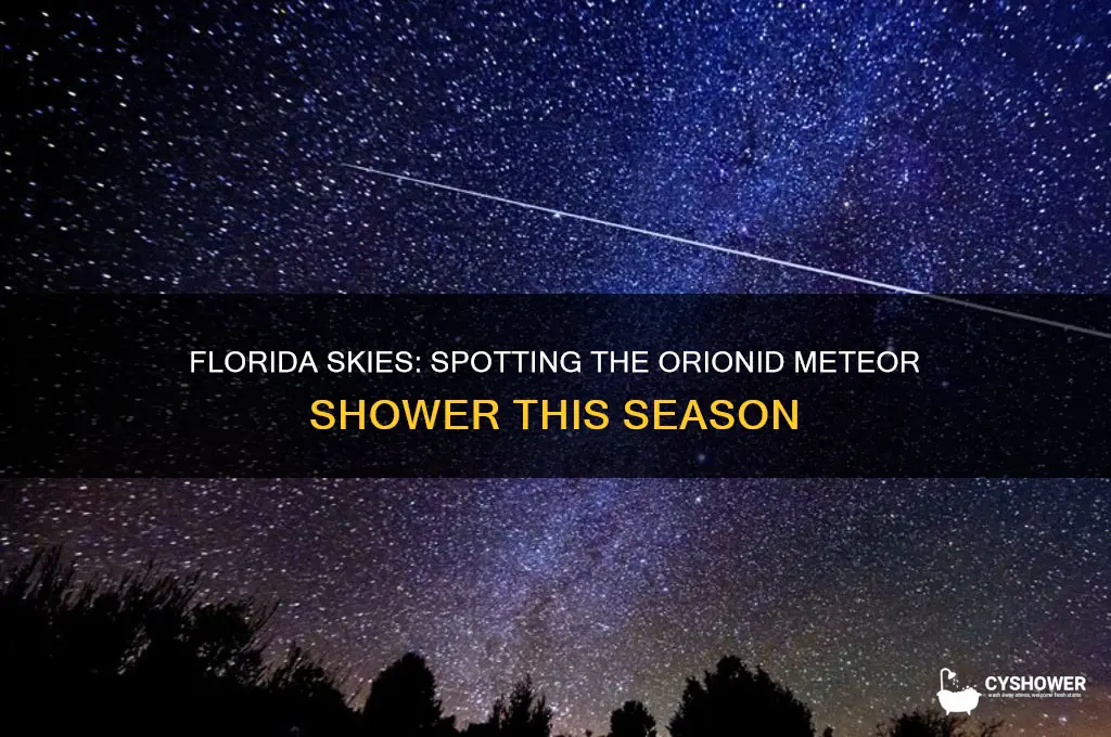 can you see the orionid meteor shower in florida