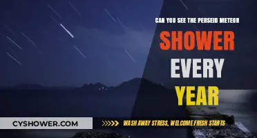 Annual Perseid Meteor Shower: A Yearly Celestial Spectacle to Witness