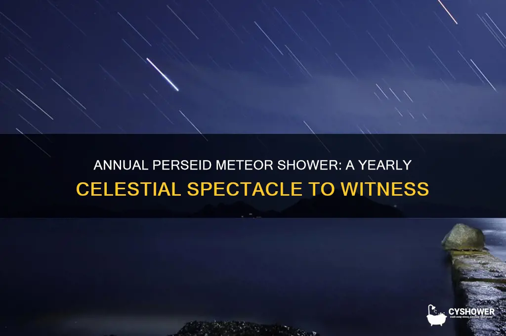 can you see the perseid meteor shower every year