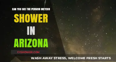 Arizona's Perseid Meteor Shower: Visibility Tips and Prime Viewing Spots