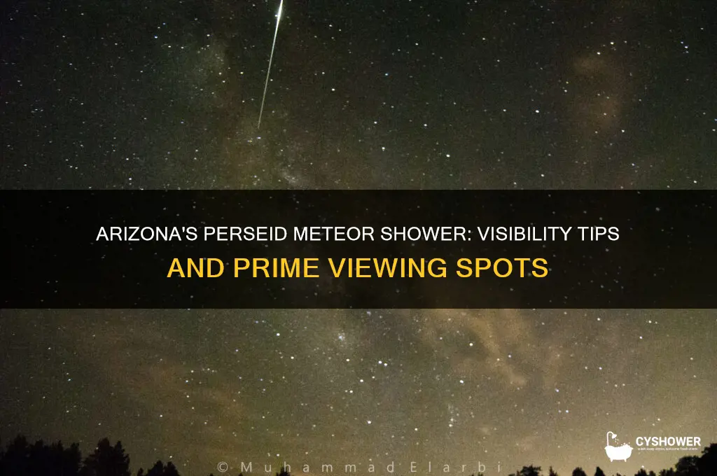 can you see the perseid meteor shower in arizona