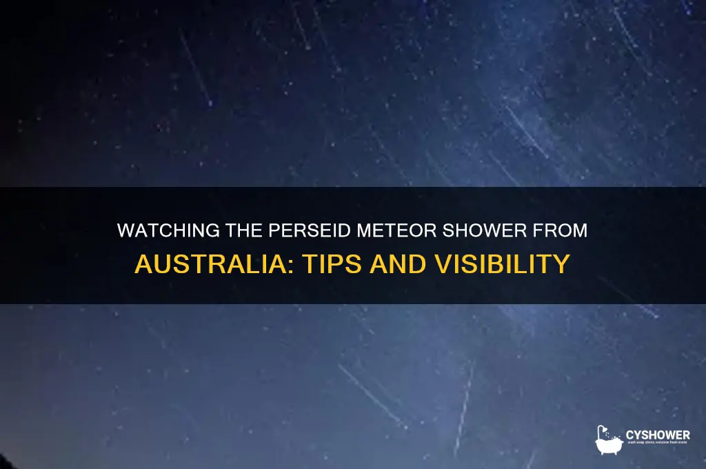 can you see the perseid meteor shower in australia