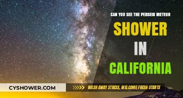 Perseid Meteor Shower Viewing Tips for California Skywatchers