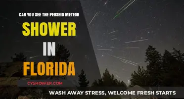 Florida's Perseid Meteor Shower Visibility: What You Need to Know