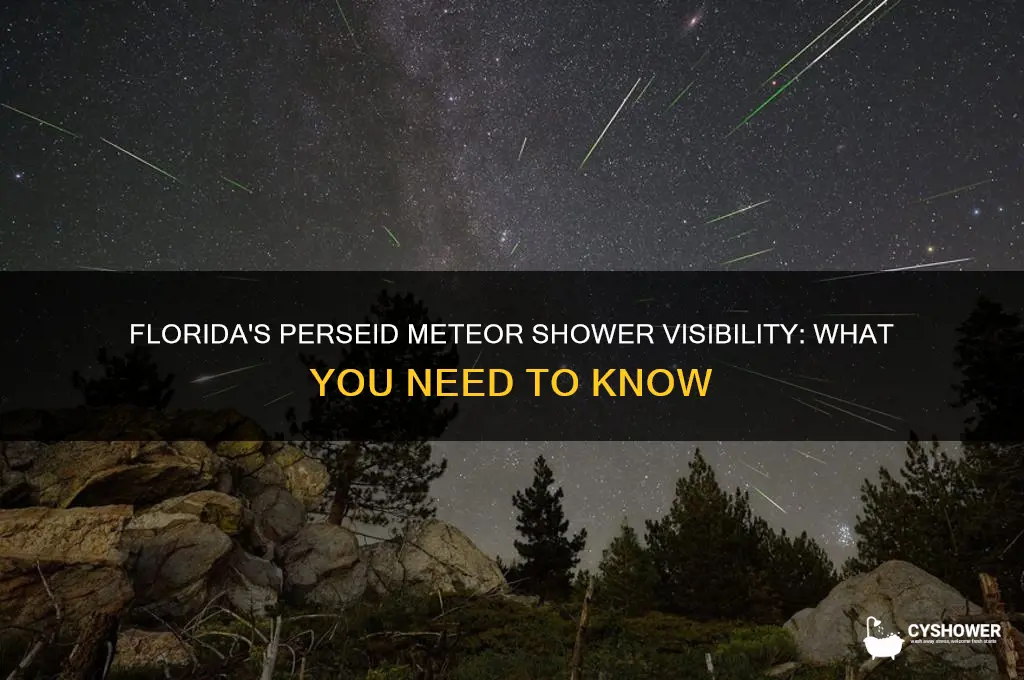 can you see the perseid meteor shower in florida