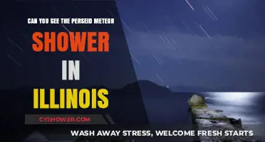 Illinois Skies: Spotting the Perseid Meteor Shower This Year