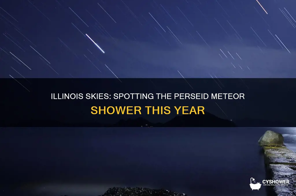 can you see the perseid meteor shower in illinois