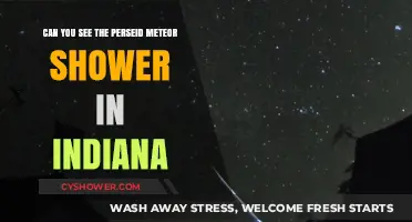 Indiana's Perseid Meteor Shower: Visibility Tips and Best Viewing Spots