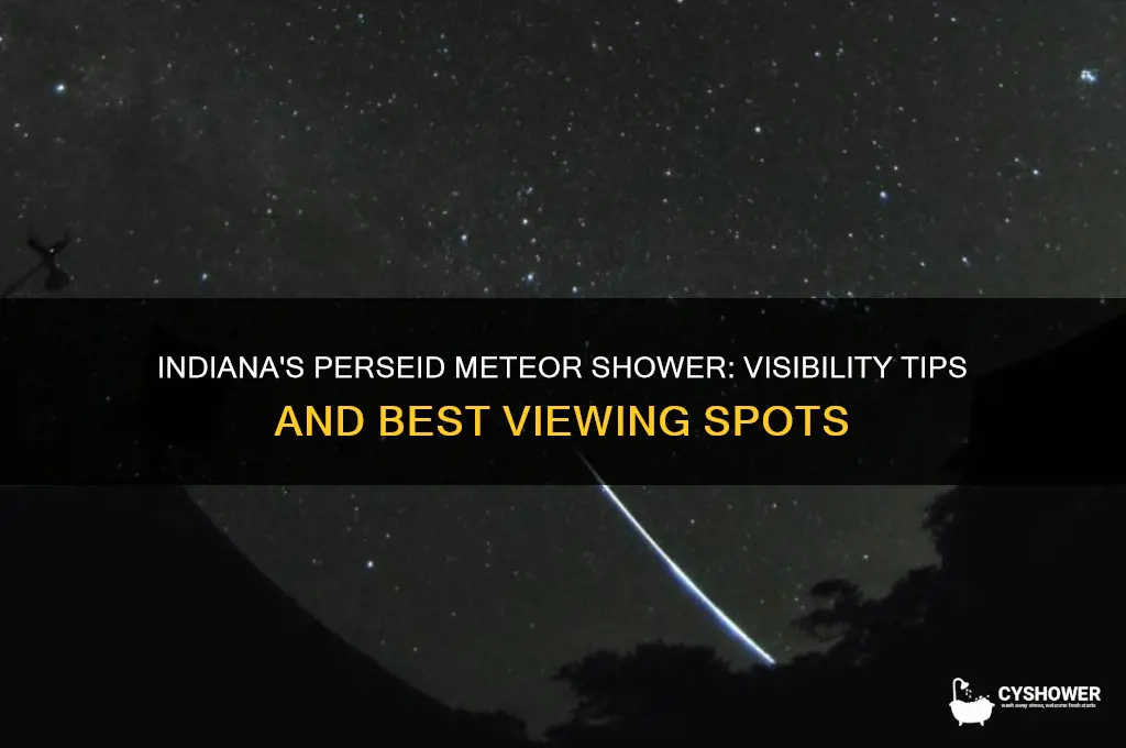 can you see the perseid meteor shower in indiana