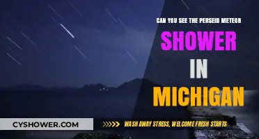 Michigan Skies: Spotting the Perseid Meteor Shower This Year
