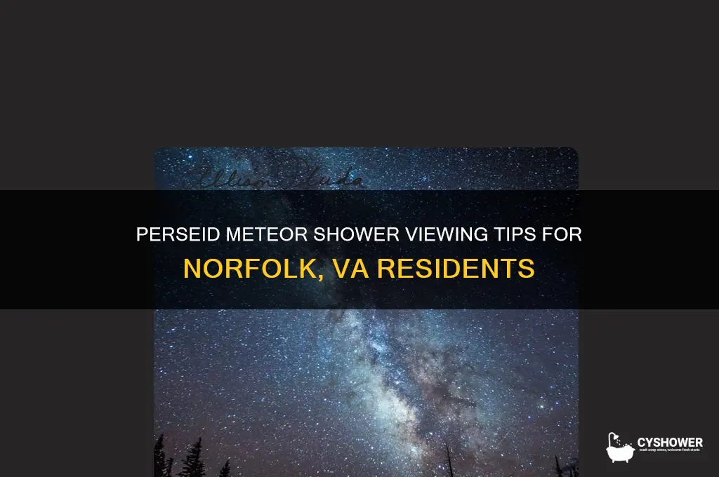 can you see the perseid meteor shower in norfolk va